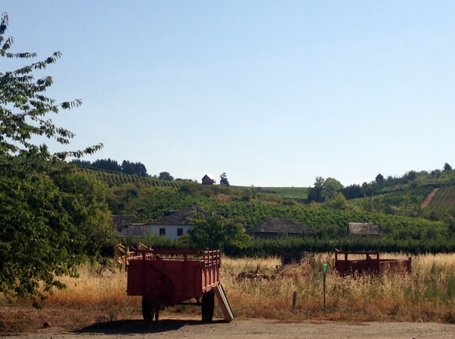 Visita_bodegas_Peique_Valtuille_vida_rural